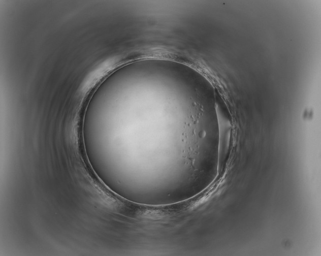 X0000096960341200802081235