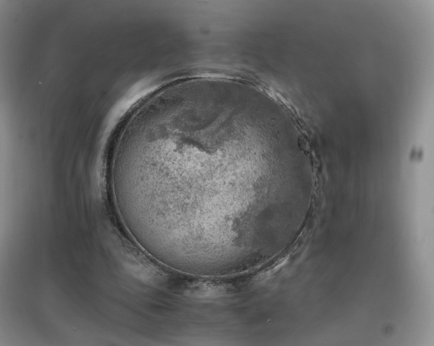 X0000096960343200802081235