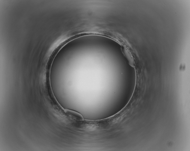 X0000096960344200802081235