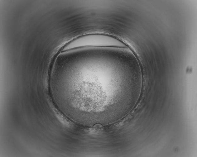 X0000096960345200802081235