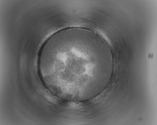 X0000096960346200802081235