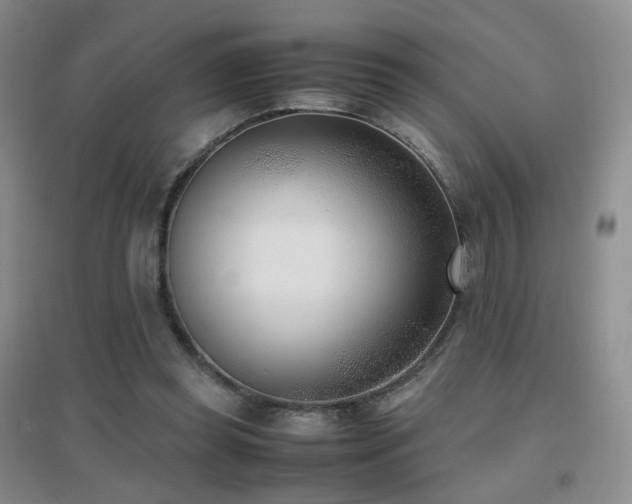 X0000096960349200802081235