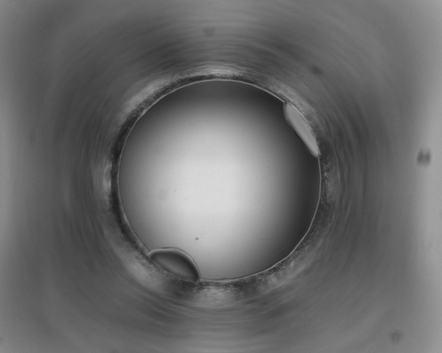 X0000096960350200802081235