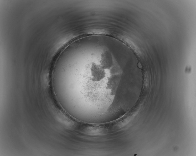 X0000096960351200802081235