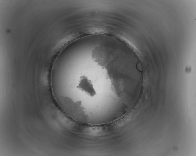 X0000096960353200802081235