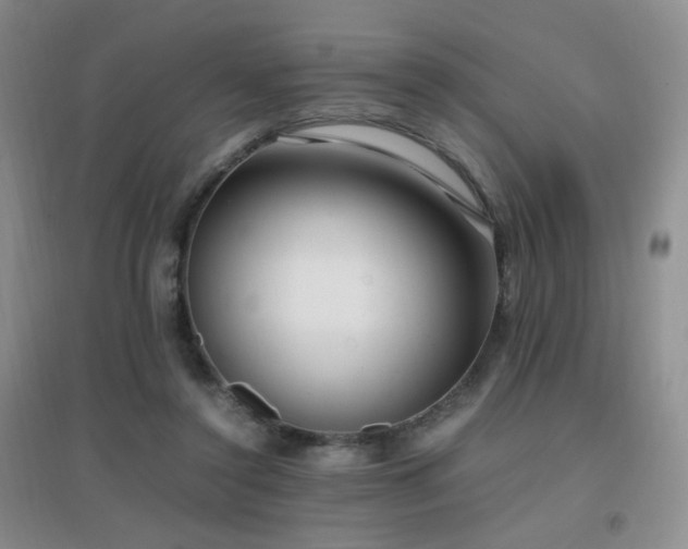 X0000096960356200802081235