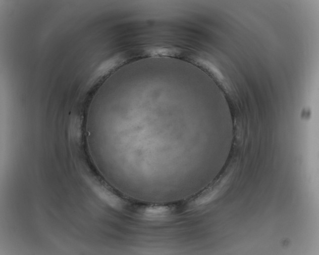 X0000096960357200802081235