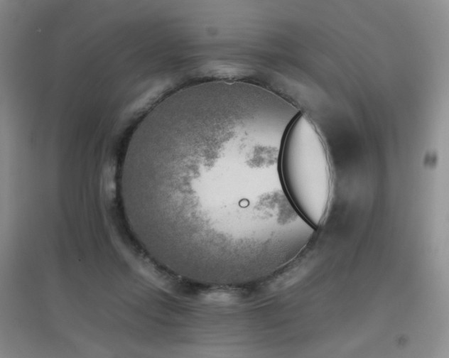 X0000096960358200802081235