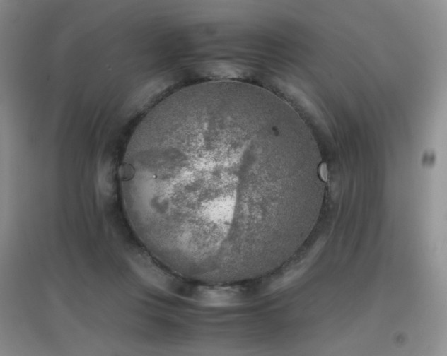 X0000096960359200802081235