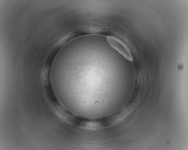 X0000096960360200802081235