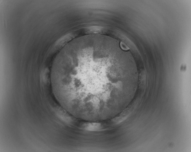 X0000096960361200802081235