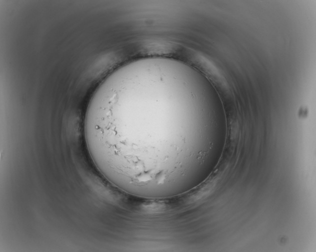 X0000096960362200802081235