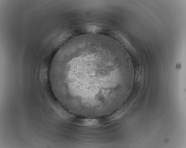 X0000096960363200802081235