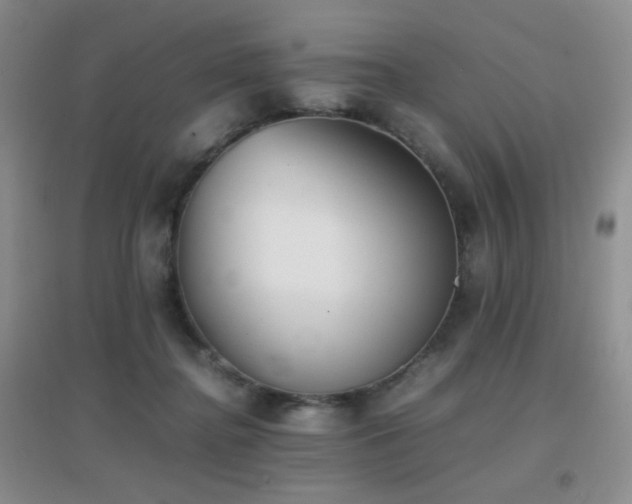 X0000096960364200802081235