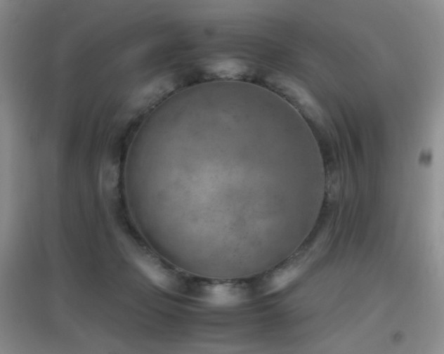 X0000096960365200802081235