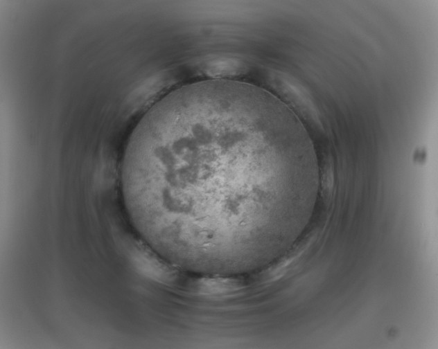 X0000096960367200802081235