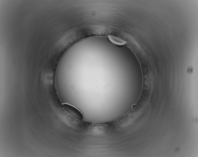 X0000096960368200802081235