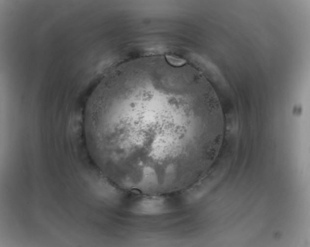 X0000096960369200802081235