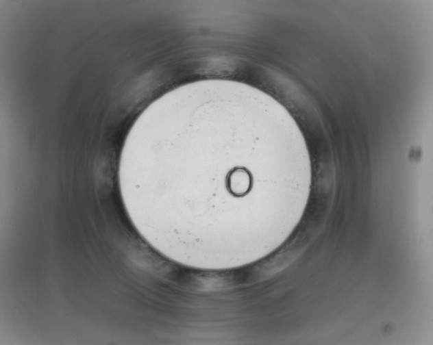 X0000096960370200802081235