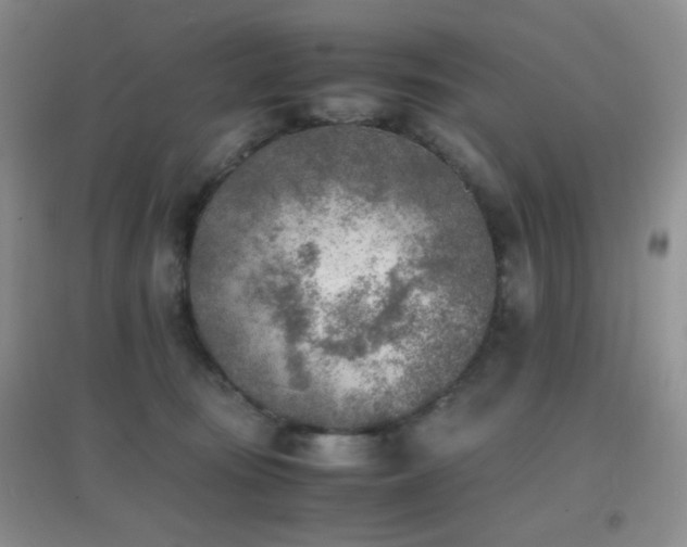 X0000096960371200802081235