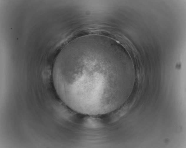 X0000096960372200802081235