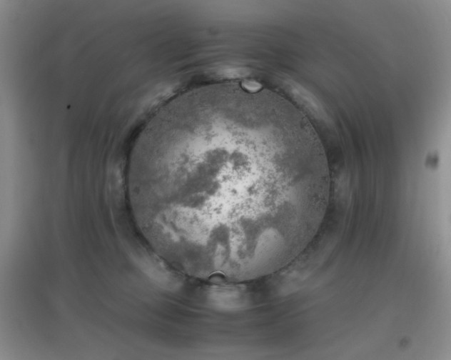 X0000096960373200802081235