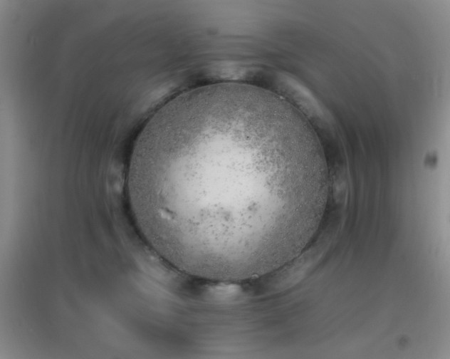 X0000096960374200802081235