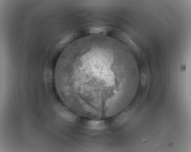 X0000096960375200802081235