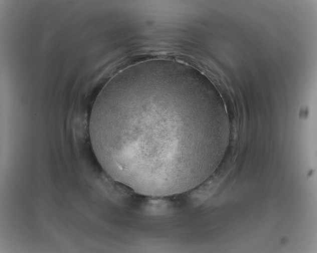 X0000096960376200802081235