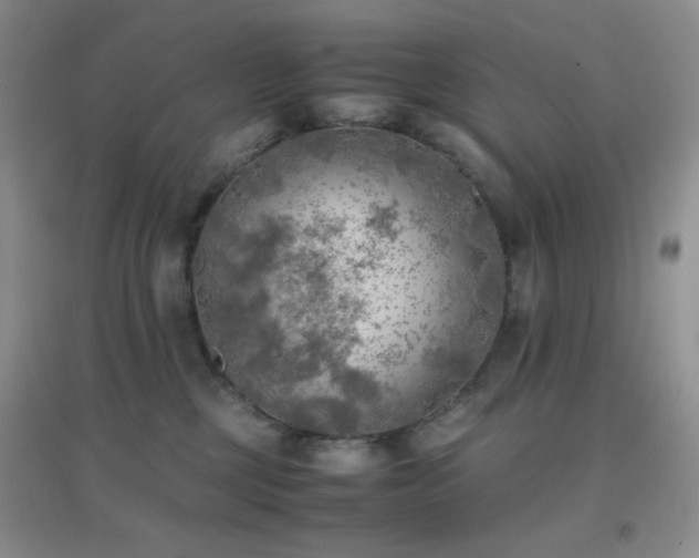 X0000096960377200802081235