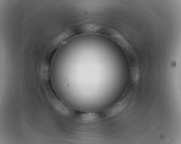 X0000096960378200802081235