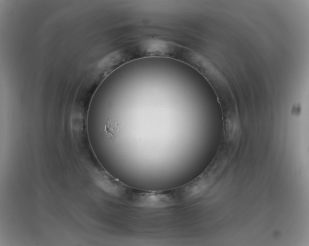 X0000096960379200802081235