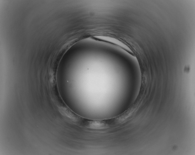 X0000096960380200802081235