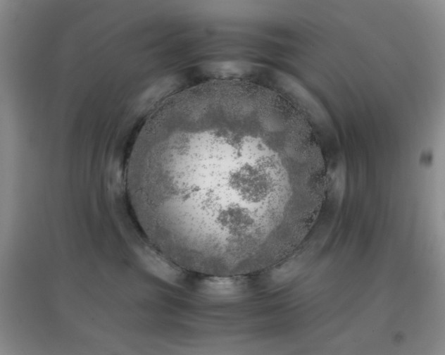 X0000096960381200802081235