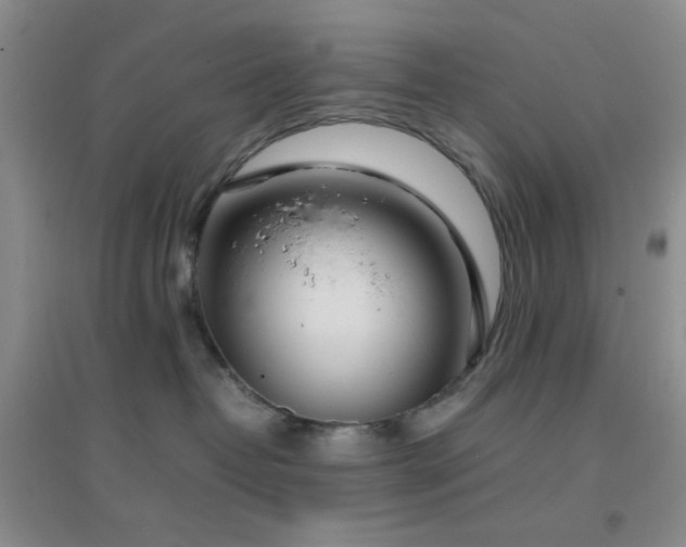 X0000096960382200802081236