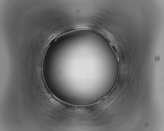 X0000096960385200802081235