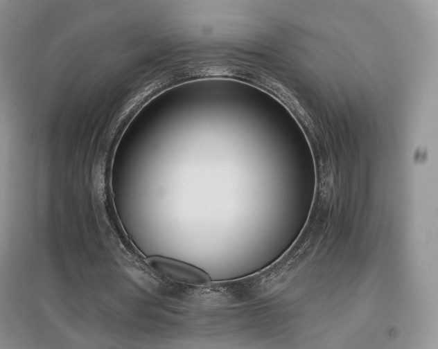 X0000096960386200802081235