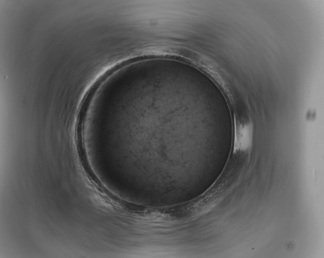 X0000096960387200802081235