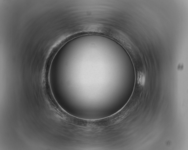 X0000096960388200802081235