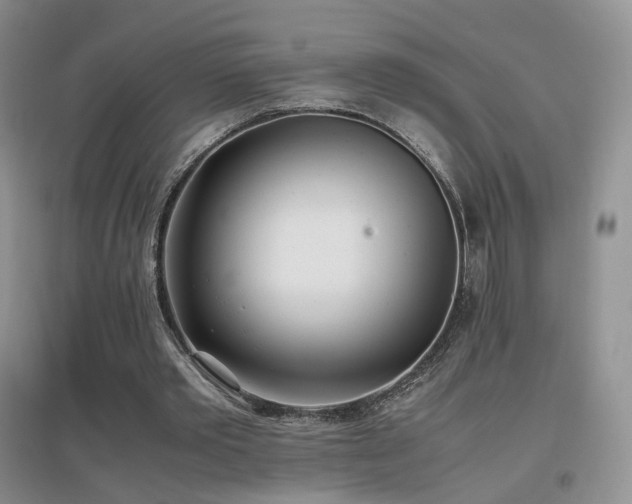 X0000096960389200802081235