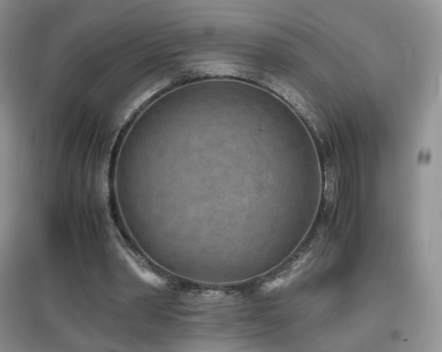 X0000096960390200802081235