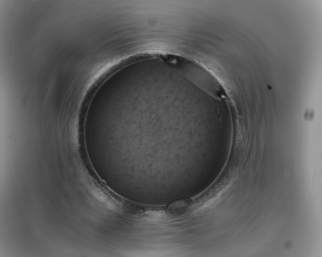 X0000096960391200802081235