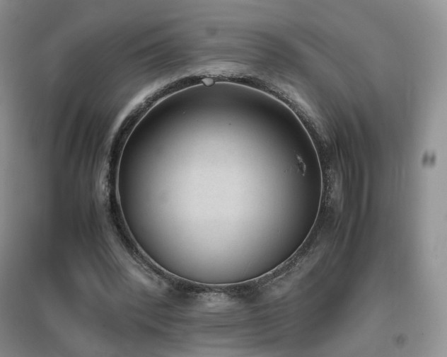 X0000096960392200802081235