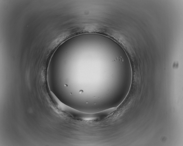 X0000096960393200802081235