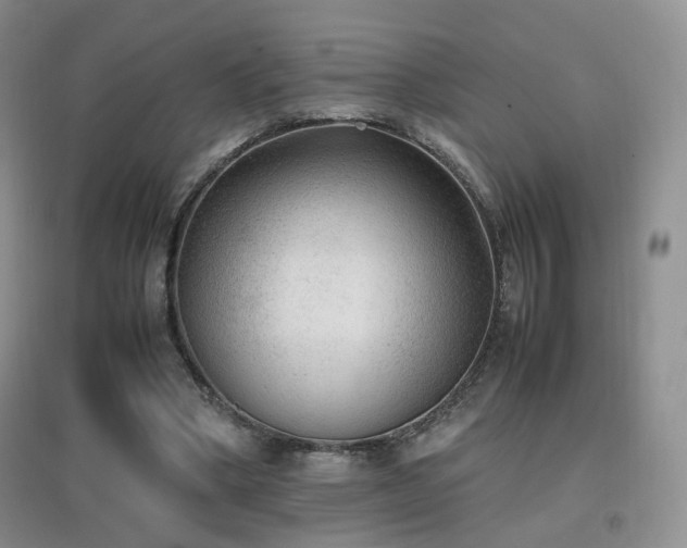 X0000096960394200802081235