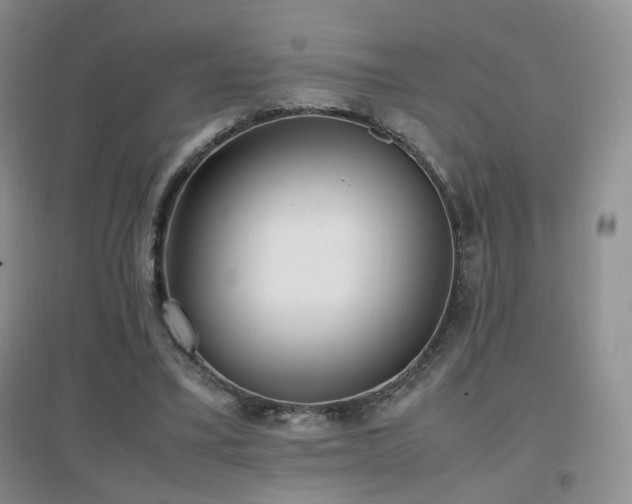 X0000096960395200802081235