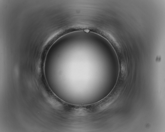 X0000096960396200802081235