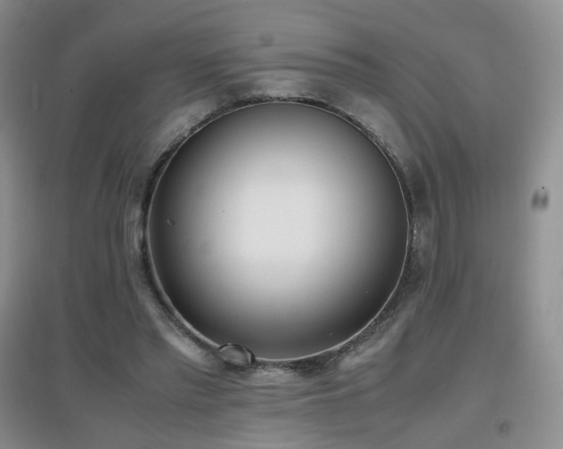 X0000096960397200802081235