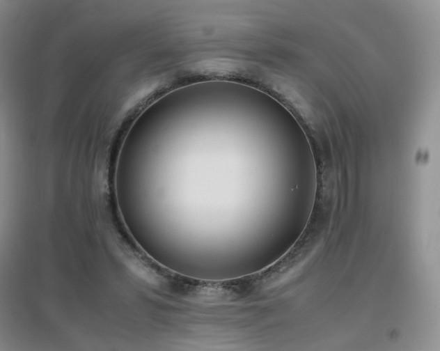 X0000096960399200802081235