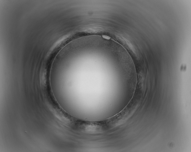 X0000096960400200802081235